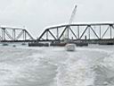 2007 Leukemia Cup Run 075 (Large).jpg